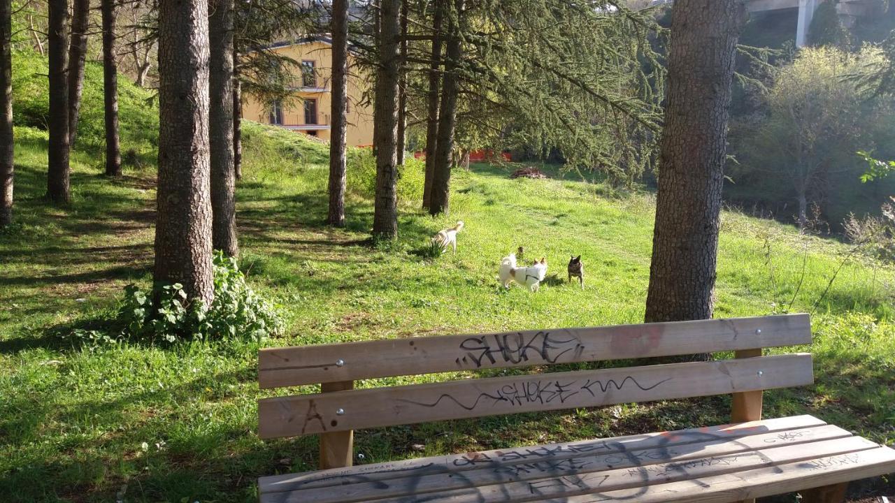 Villa Center Appartamenti Nel Verde In Citta Campobasso Eksteriør bilde